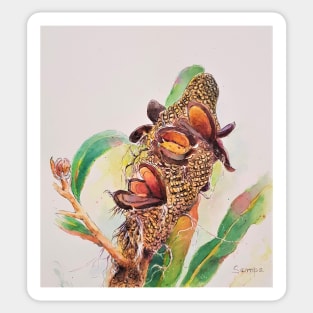 Banksia cone Sticker